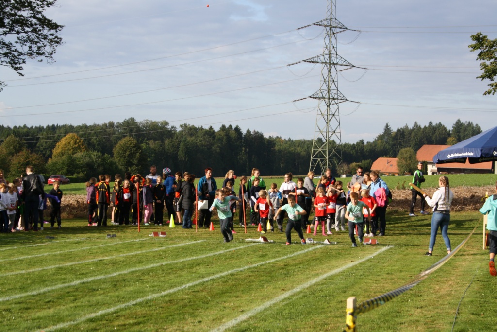 Bild 1 (39)